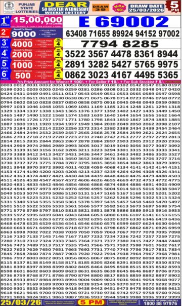 Punjab State Dear 50 Lottery 5PM Result 25 03 26