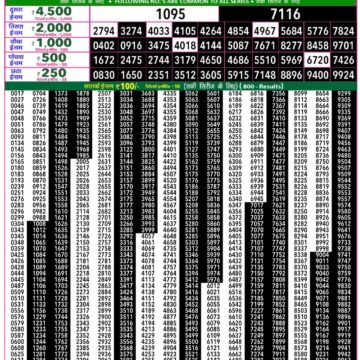 Rajshree 50 Lottery 7:30PM Result 29 03 26