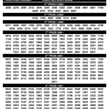 Kerala 3PM Result 03 04 26