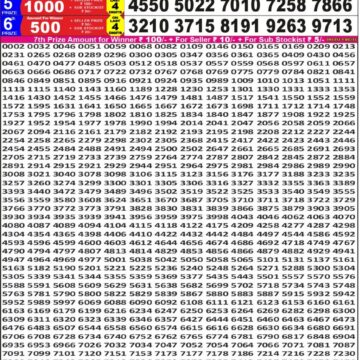 Punjab State Dear 50 Lottery 5PM Result 11 04 26