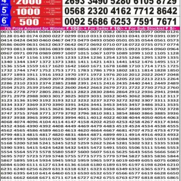 Punjab State Dear 50 Lottery 6:30PM Result 17 05 26