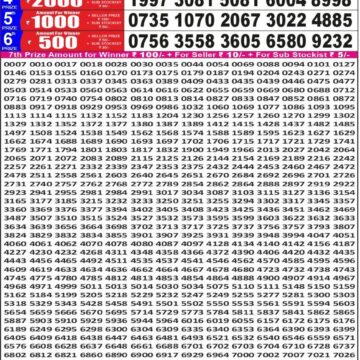 Punjab State Dear 50 Lottery 6:30PM Result 23 05 26