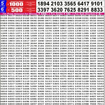Punjab State Dear 50 Lottery 5PM Result 30 05 26