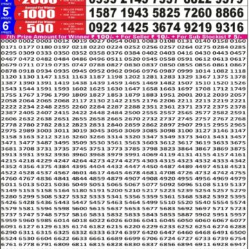 Punjab State Dear 50 Lottery 5PM Result 29 05 26