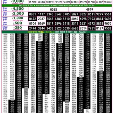 Rajshree 50 Lottery 7:30PM Result 08 06 26