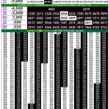 Rajshree 50 Lottery 7:30PM Result 30 06 26