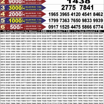 Punjab State Dear 50 Lottery 6:30PM Result 29 07 26