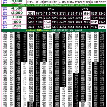Rajshree 50 Lottery 7:30PM Result 31 07 26