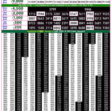 Rajshree 50 Lottery 7:30PM Result 24 08 26
