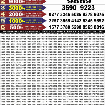 Punjab State Dear 50 Lottery 6:30PM Result 05 08 26