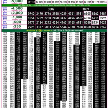 Rajshree 50 Lottery 7:30PM Result 08 08 26