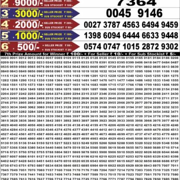 Punjab State Dear 50 Lottery 6:30PM Result 10 08 26