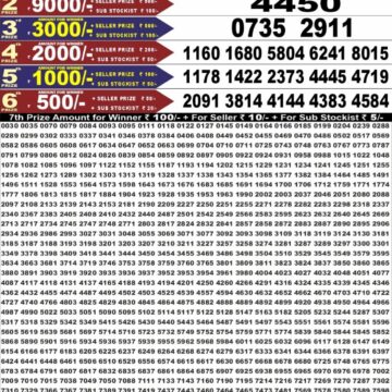 Punjab State Dear 50 Lottery 6:30PM Result 11 08 26