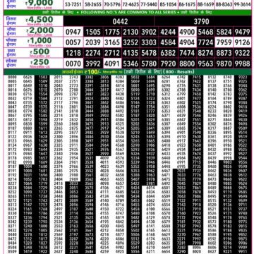 Rajshree 50 Lottery 7:30PM Result 11 08 26