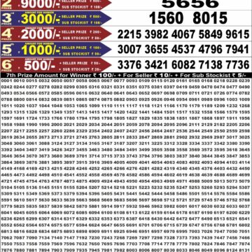 Punjab State Dear 50 Lottery 6:30PM Result 12 08 26