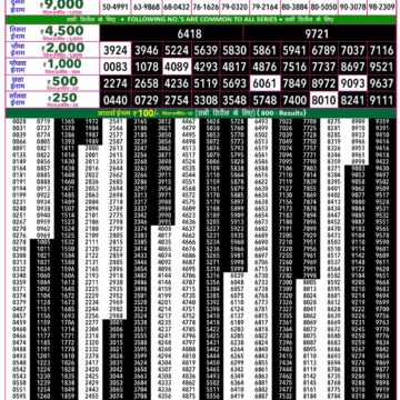 Rajshree 50 Lottery 7:30PM Result 14 08 26