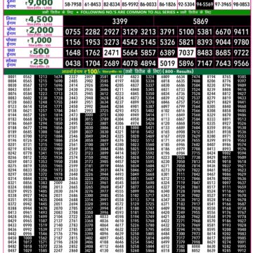Rajshree 50 Lottery 7:30PM Result 16 08 26