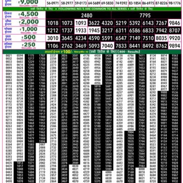 Rajshree 50 Lottery 7:30PM Result 08 09 26