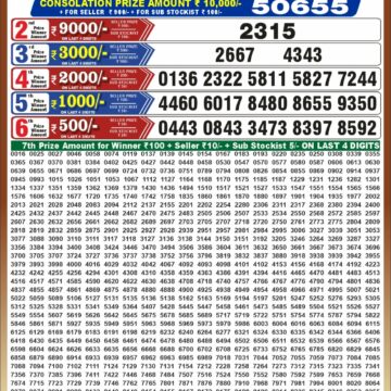 Punjab State Dear 50 Lottery 6:30PM Result 08 10 26