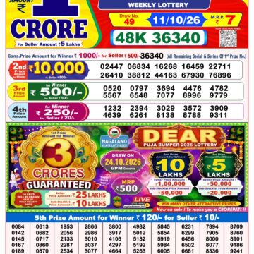 Dear Lottery Result 8PM 11 10 26
